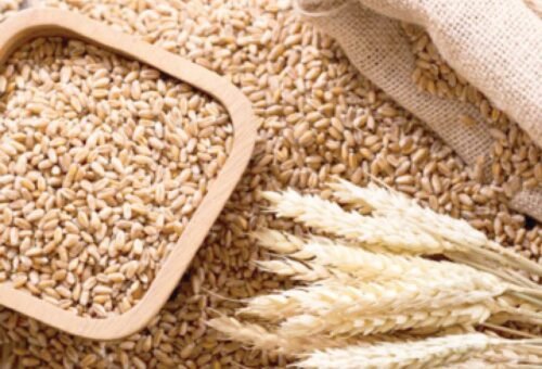 Nigeria unveils programme to cut 7mt annual wheat import – Daily Trust