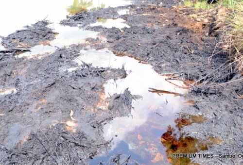The costly reality of environmental journalism in Africa