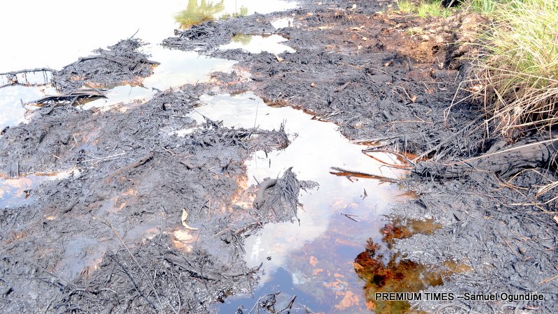 The costly reality of environmental journalism in Africa