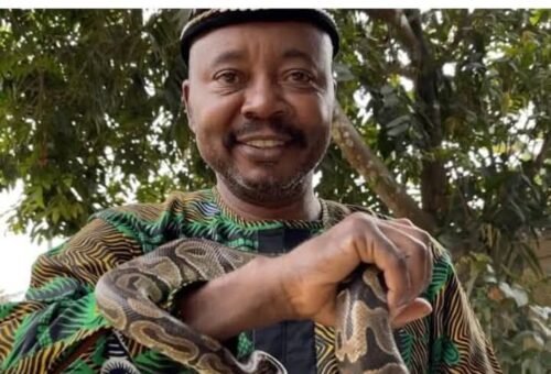 Nigerian emerges West Africa chair for IUCN Snake Specialist Group