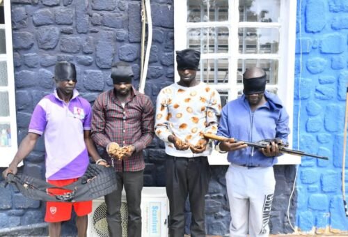 Troops disrupt illegal arms network, arrest four suspects, recover weapons in Plateau