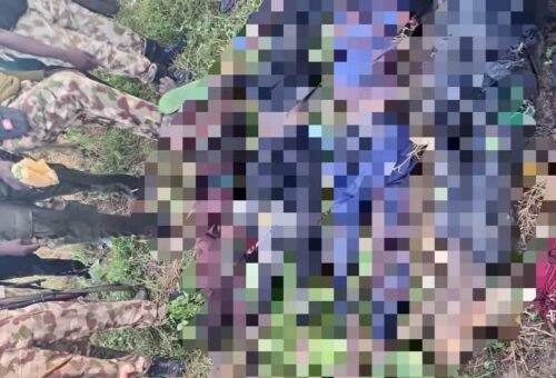 Troops neutralise six terrorists, recover arms, ammunition in Adamawa