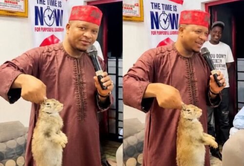 Kano Assembly Probes Colleague Over Alleged Social Media Post Against Governor