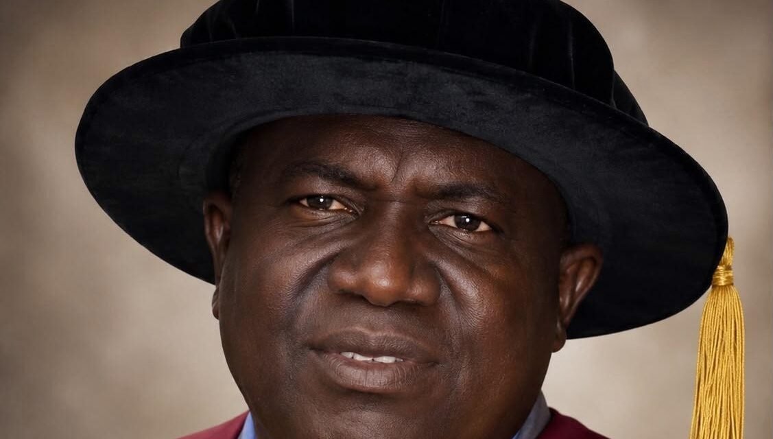 Nigeria Needs Stronger Institutions to Turn University Research into Innovation – THISDAYLIVE