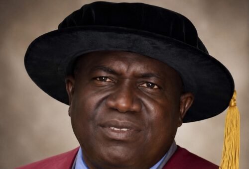 Nigeria Needs Stronger Institutions to Turn University Research into Innovation – THISDAYLIVE