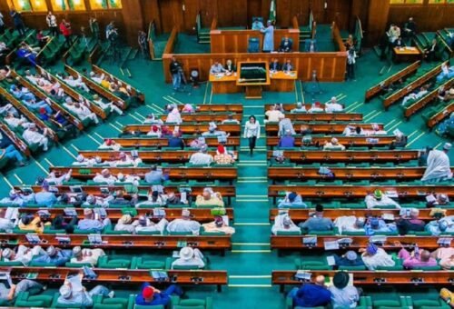Reps threaten arrest warrants against Federal Polytechnic officials over audit queries