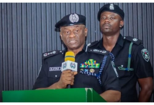 IGP Disu calls for African collaboration to tackle arms proliferation
