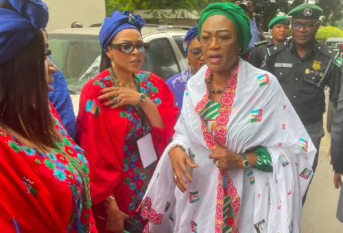2027: Idele Emerges APC Women Presidential Campaign Council D-G