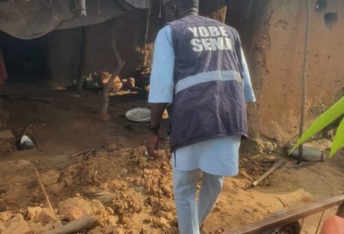 1,020 affected, 278 shelter destroyed as Flood ravages Yobe communities – Daily Trust