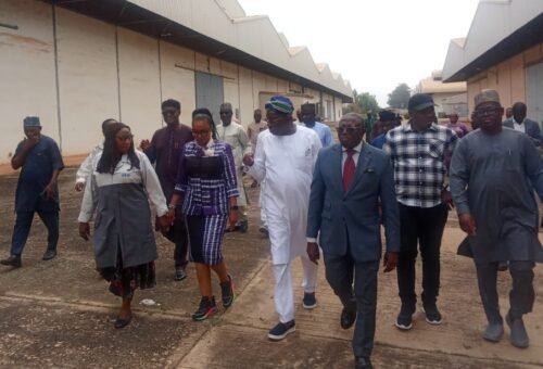 Senate  committee urges Tinubu to back PAN, local auto affiliation, warns against vehicle importation