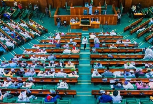 Reps Warn Beneficiary Institutions Against Withholding NELFUND Funds, Delaying Refunds