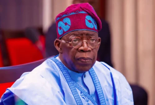 Take Tinubu’s Achievements To Grassroots, NFP Tells Northern Appointees