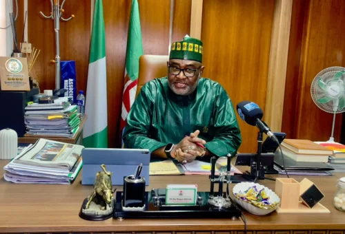 Regional Commissions Not Rivals To Governors, Says Minister