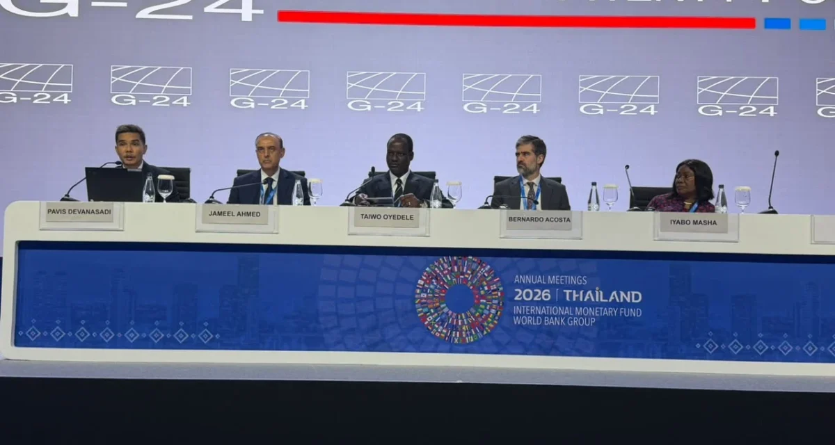 Oyedele Calls For IMF, World Bank Reforms To Boost Developing Economies