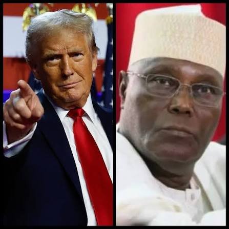 Timi Frank Seeks Trump’s Help Over Alleged Threat To Atiku’s Safety