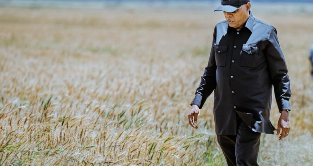 Nigeria to Leverage Ethiopia’s Agricultural Success for Food Security
