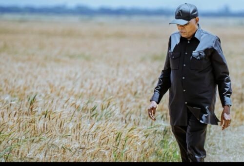 Nigeria to Leverage Ethiopia’s Agricultural Success for Food Security