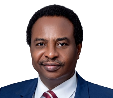 MDGIF Attracts N1.6trn Private Investment For Domestic Gas Infrastructure