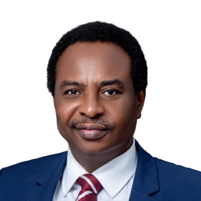 MDGIF Attracts N1.6trn Private Investment For Domestic Gas Infrastructure