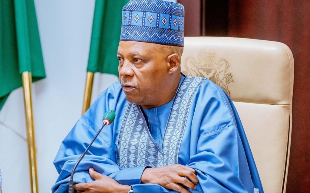Shettima meets Yahaya Bello, Badaru, other political figures in Aso Rock