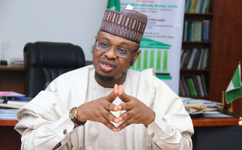 INEC Gives Pantami, Adebutu, Gwarzo, Others 14 Days To Appeal Exclusion