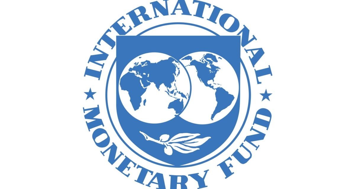 Experts caution as IMF offers fresh advice on subsidy – Daily Trust