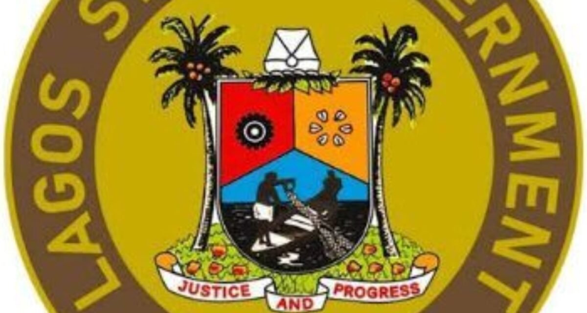 Lagos Govt raises alarm over social media impact on children’s mental health