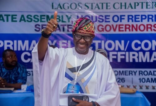 2027: Lagos APM faults exclusion of Laja Adeoye from Gen Z town hall