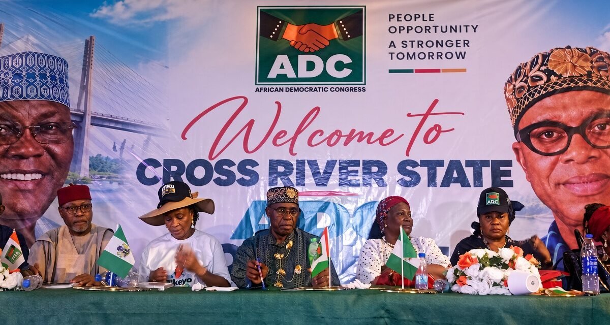 Subsidy removal was reckless, meant to punish Nigerians