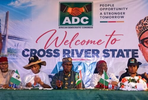 Subsidy removal was reckless, meant to punish Nigerians