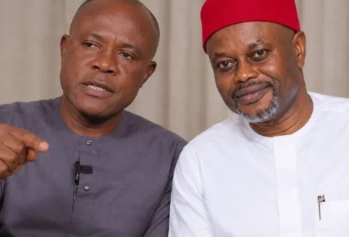 Nnaji Not In Governorship Race To Secure Immunity – Support Group