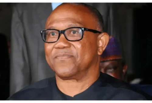 VIDEO: Peter Obi says he won 2023 election but has ‘no evidence’ to prove claim
