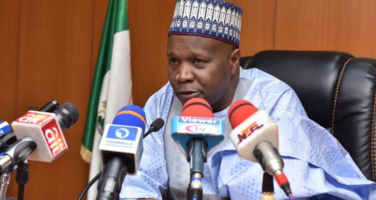 Gombe treats 74 cholera patients, declares outbreak