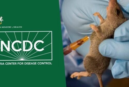 Nigeria records 263 Lassa fever deaths, 1,115 confirmed cases across 24 states
