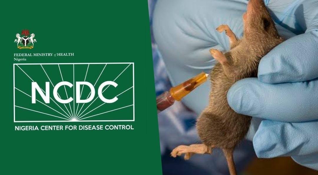 Nigeria records 263 Lassa fever deaths, 1,115 confirmed cases across 24 states