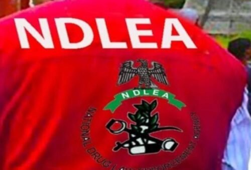 NDLEA intercepts Italy-bound businessman alongside cocaine consignments