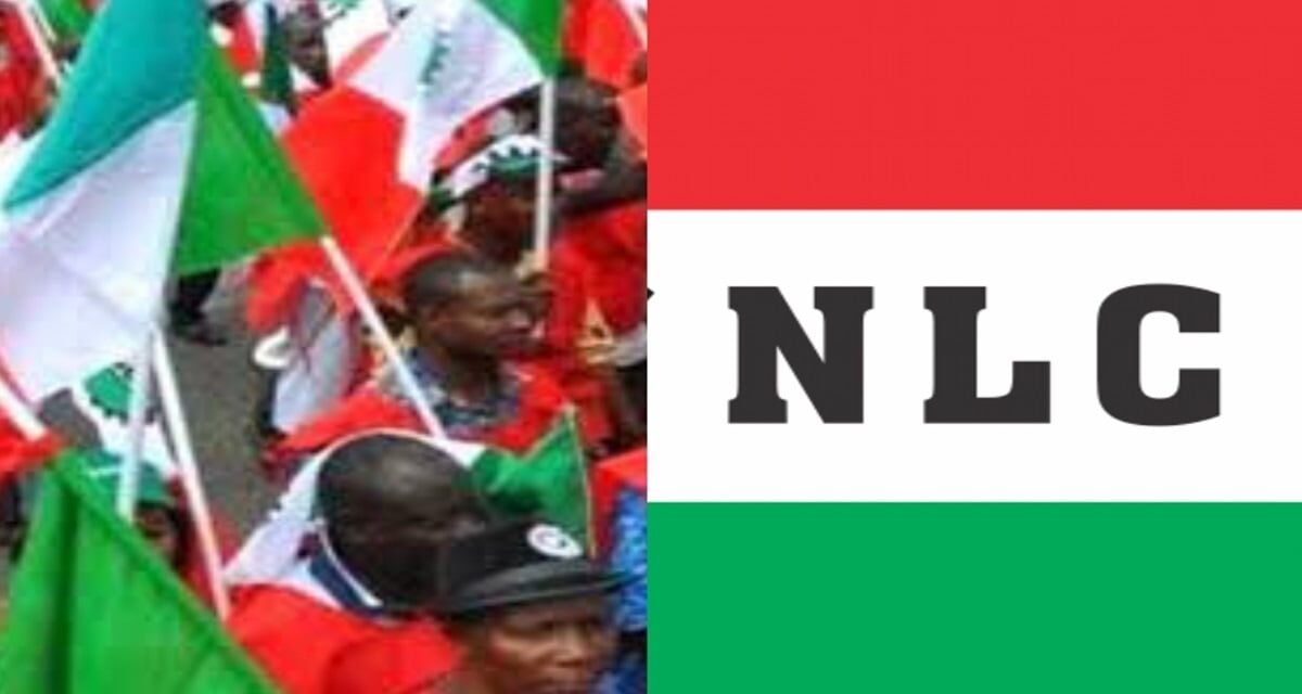 NLC gives FG ultimatum to cut petrol pressure, renegotiate minimum wage NLC gives FG ultimatum to cut petrol pressure, renegotiate minimum wage