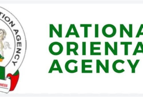 NOA Launches Nationwide Campaign Against Voter Apathy, Vote Buying – THISDAYLIVE