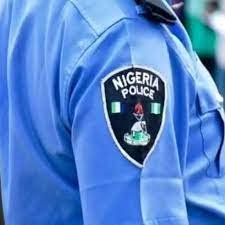 4 states approve constitutional amendment – Daily Trust