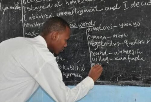 FCT teachers suspend strike – Daily Trust