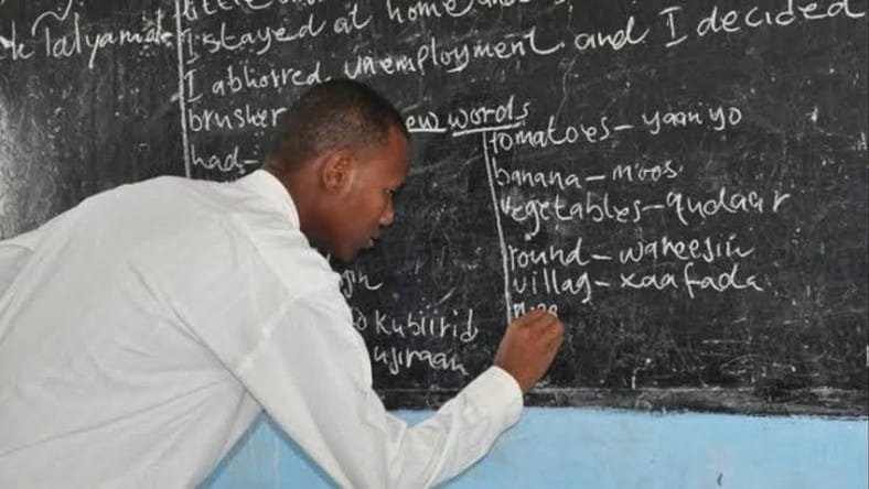 FCT teachers suspend strike – Daily Trust
