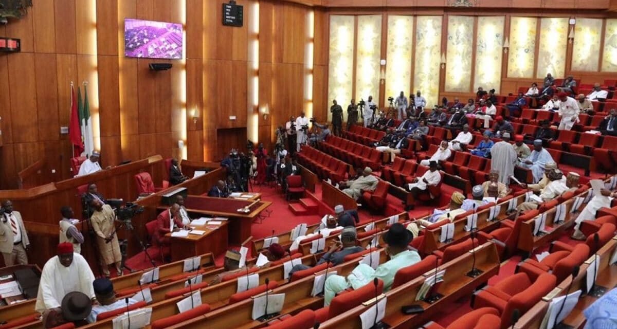 Senate orders urgent rehabilitation of Onitsha, Ogbaru, Ndoni Federal Highway
