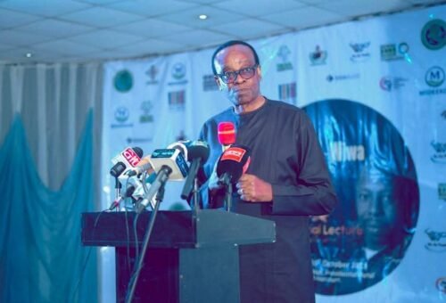 Activist urges Nigerians to reject candidates without environmental plans