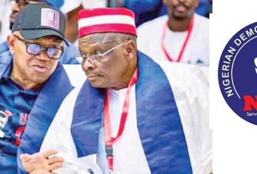 We’re not working for APC – Kwankwaso – Daily Trust