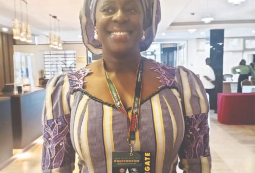 Tour Operators’ Partnership Boosts Nigeria-Benin Business – THISDAYLIVE
