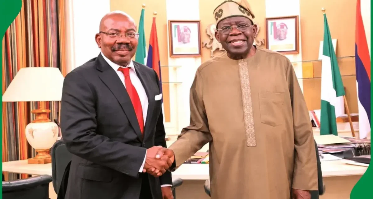 Tinubu hosts Jim Ovia at Aso Rock – Daily Trust