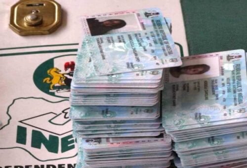 PVC collection in Kano impressive, says INEC – Daily Trust