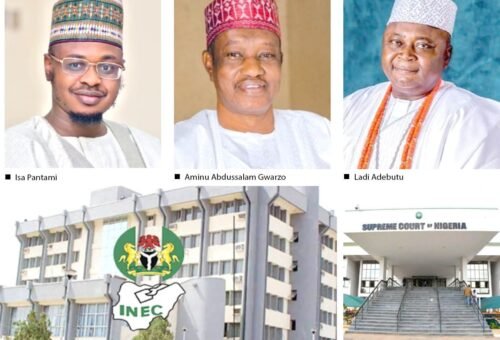 Pantami, Gwarzo, Adebutu, others remain excluded – INEC – Daily Trust