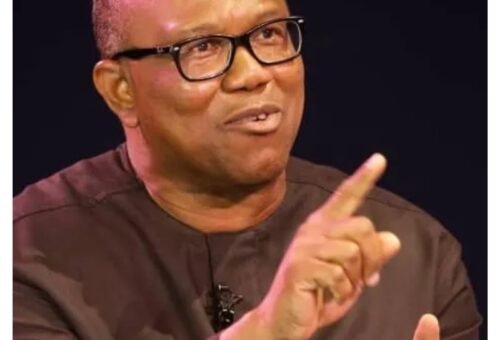 Peter Obi questions why Nigeria did not declare public holiday on World Poverty Day
