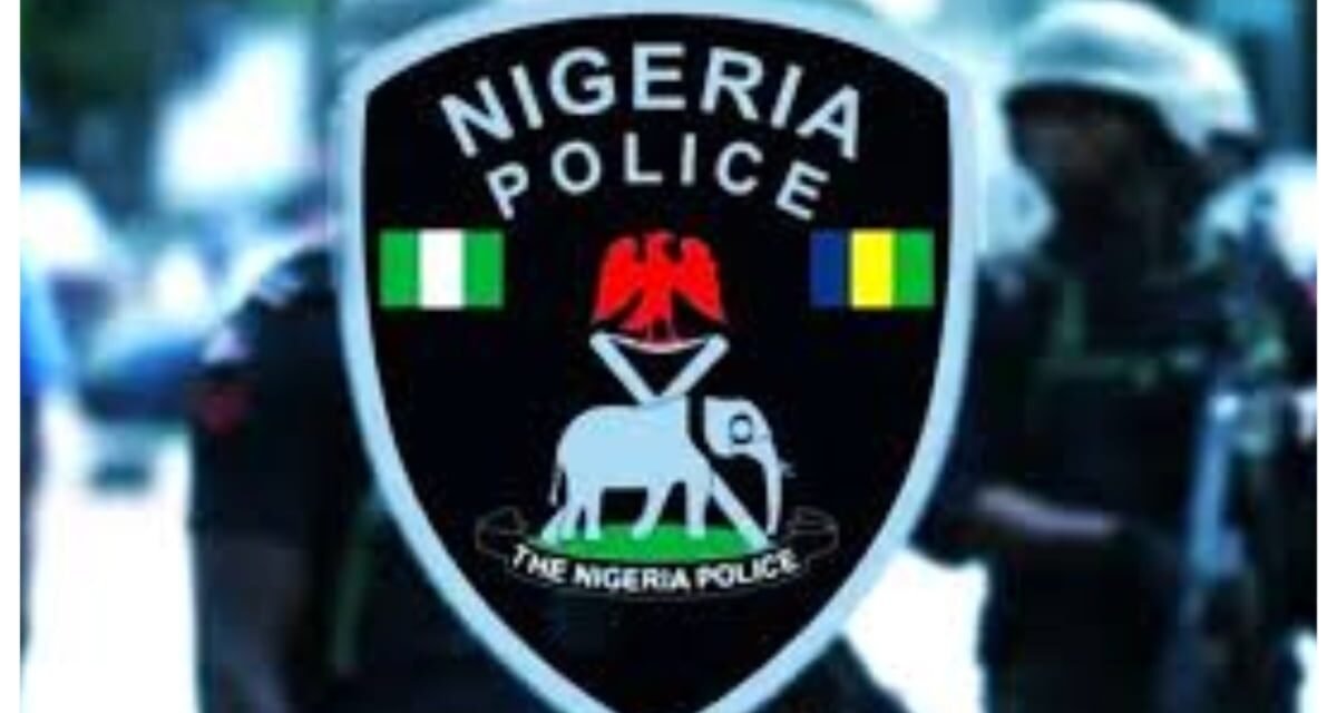 Protecting girl-child is a moral, societal responsibility – Police